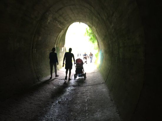 Szlaki piesze i rowerowe